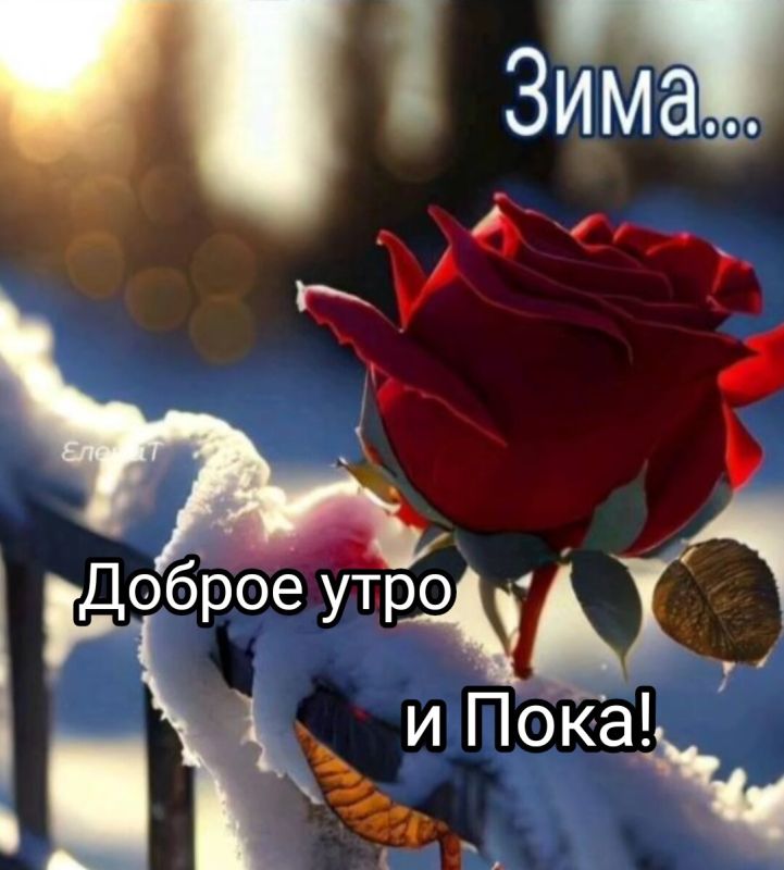 , :       