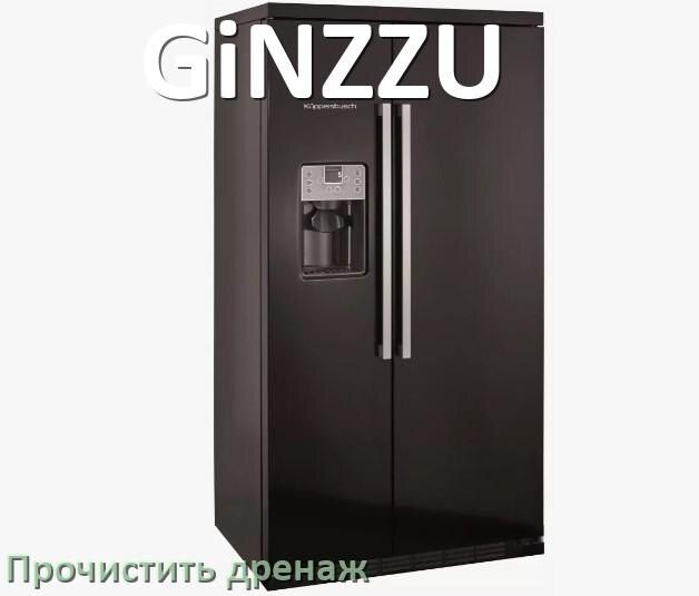        GiNZZU