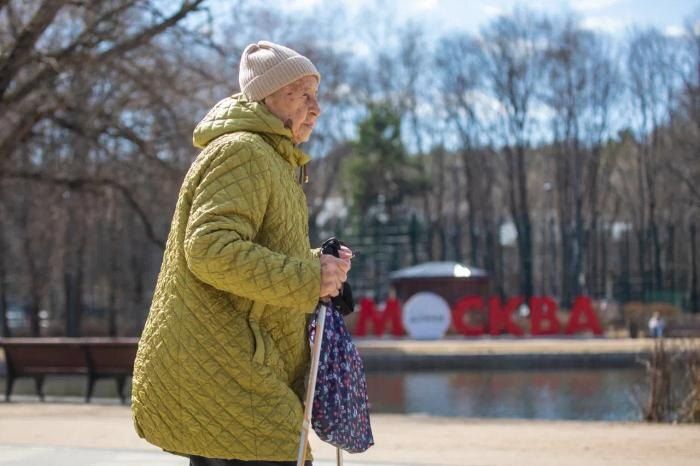 Почему важно проверить свою пенсионную выписку в ноябре: советы эксперта