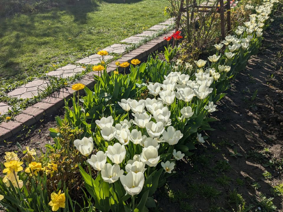 Осень в саду: как успеть насладиться последними солнечными днями