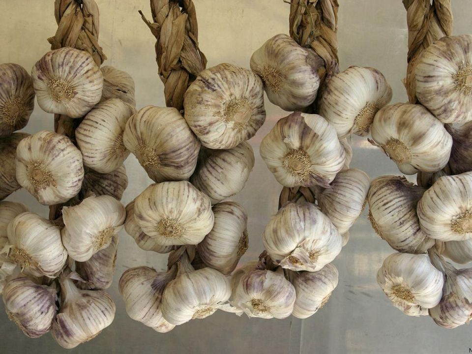 ������ �� �������: ��� ��������� ������������� ��� ������� �������