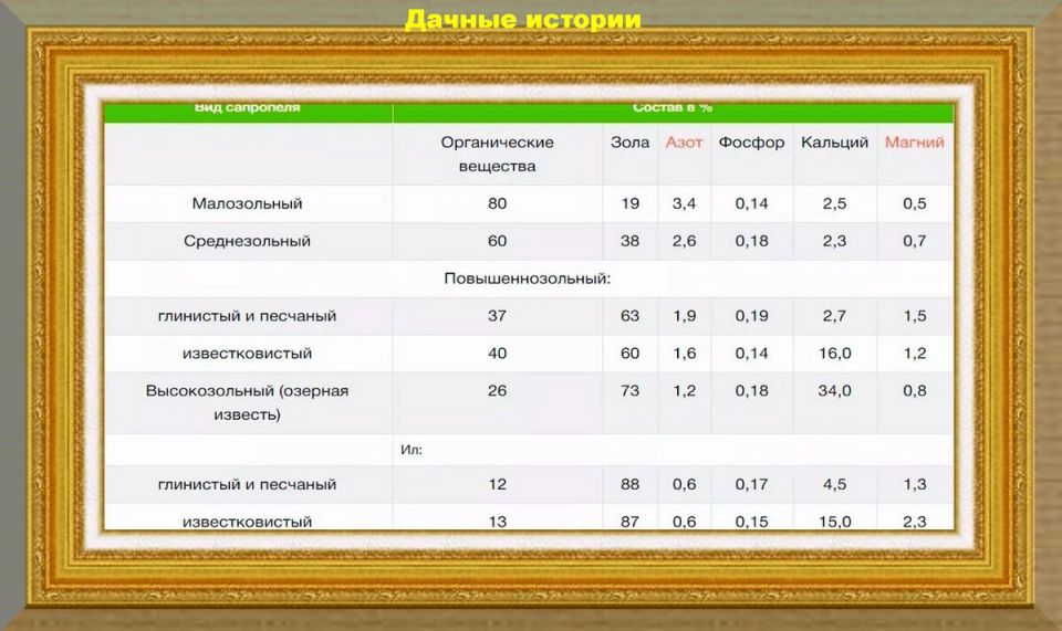 Сапропель: Тайное оружие для здоровья вашего огорода