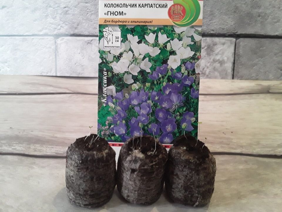 ��� ���������� ����� ����� �������������: ������������� ������� ������