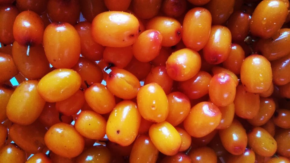 ��������: ������� ������������� ��������� ������� �� ����