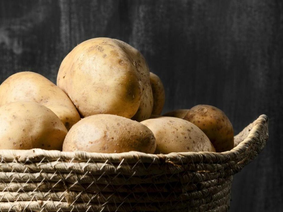 ��� ������� ��������� ���������� ������ ���������� ��� ��������