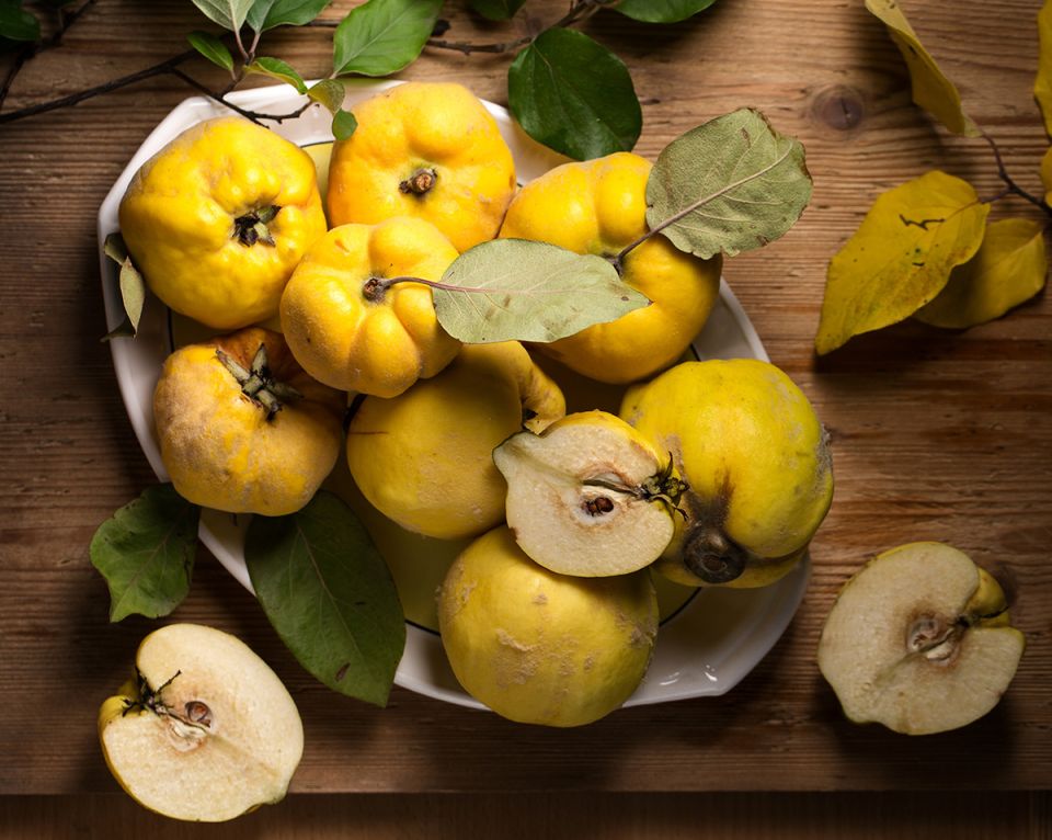 ����: ������� �����, ������� ����� ����������� � ���� ����