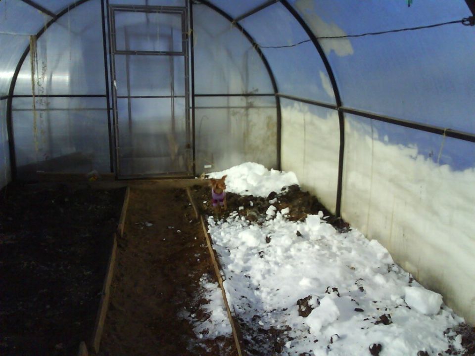 �������� ������� ��� ������: ����� �� �������� �����?