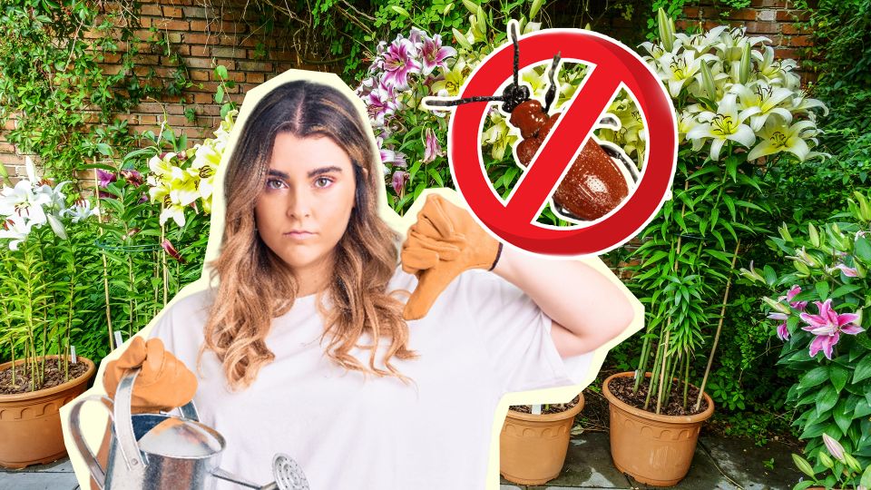 ������� ����� � ����� ������ � �����: ���������� ����� ���� ���������