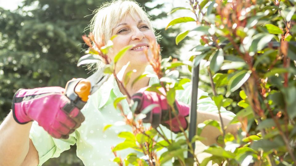 Эти болезни поджидают дачников в огороде: бояться стоит не только столбняка