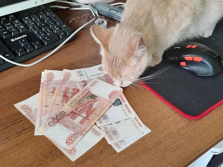 ��� ����������� ������� ������� ���������� � 2026 ����