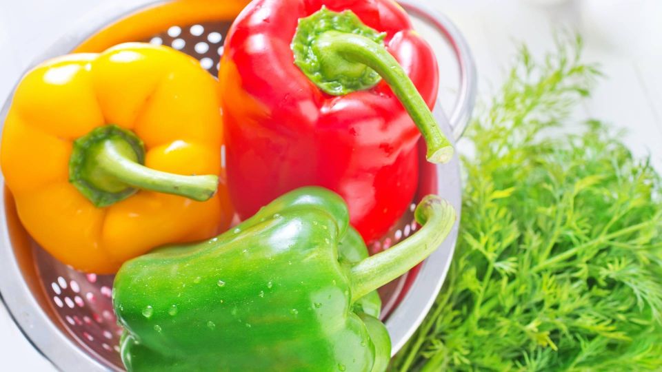 ���������� ����� ������ ����� ����� ��������? ����-�������� ���� ����������� �����