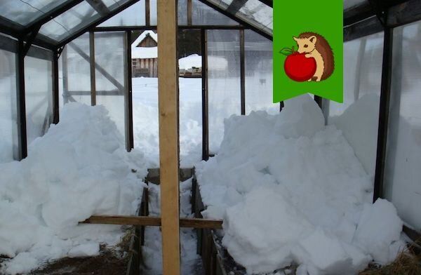 ������ ������ � ��������: ������ ���� ������� ��� �����