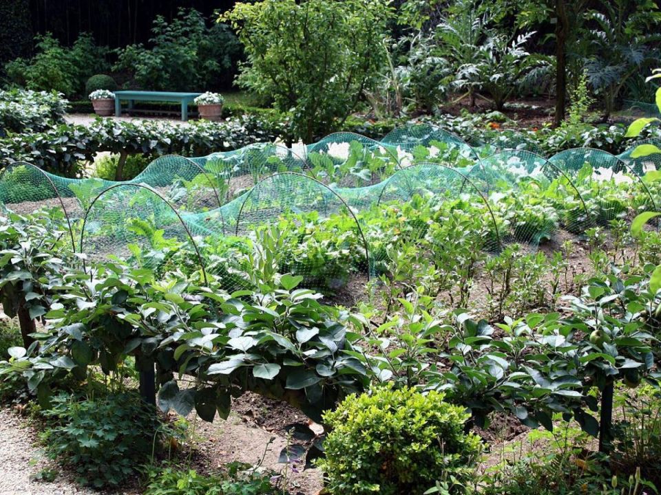 ��� �������� �������� � ����� ������������: �������� ������ ��� ���������