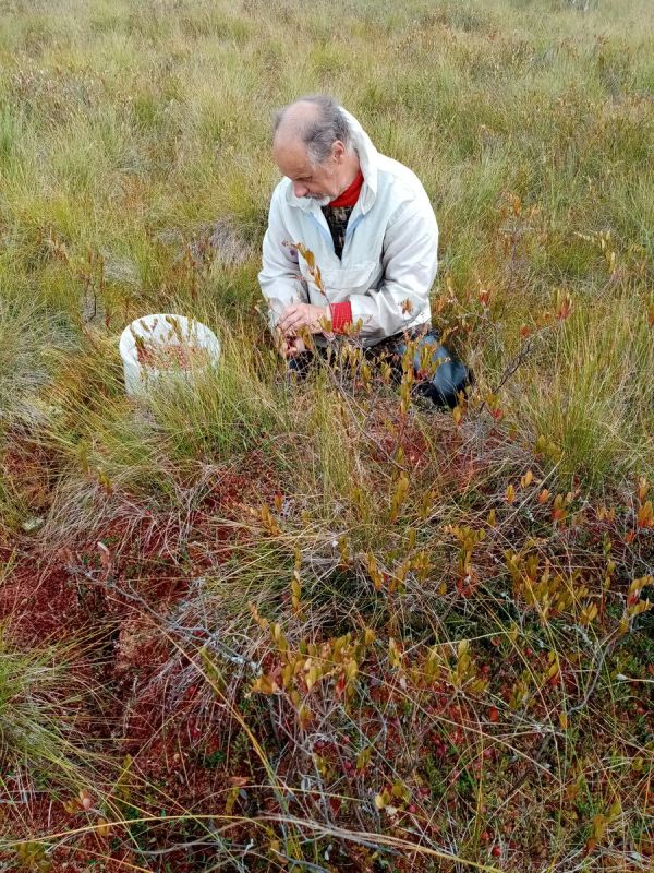 ������� ����� ������: �� ������� � �������