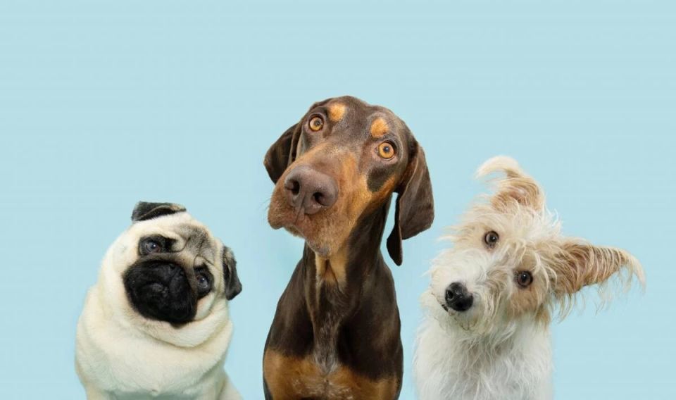 ������ ������ ��������� ������: ������������ ������ ������� � ����� ��������