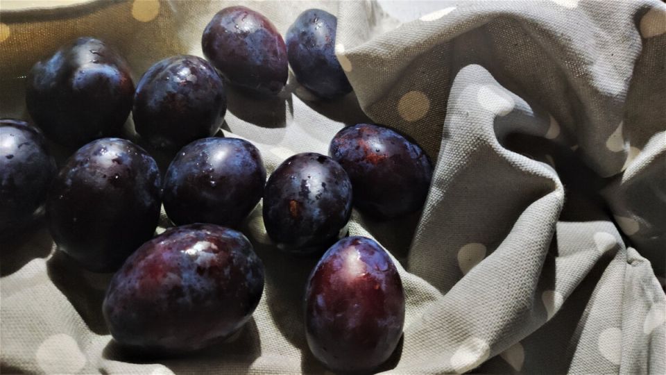 ������� ����� �� �������: ������ � ������ �� ������� ������