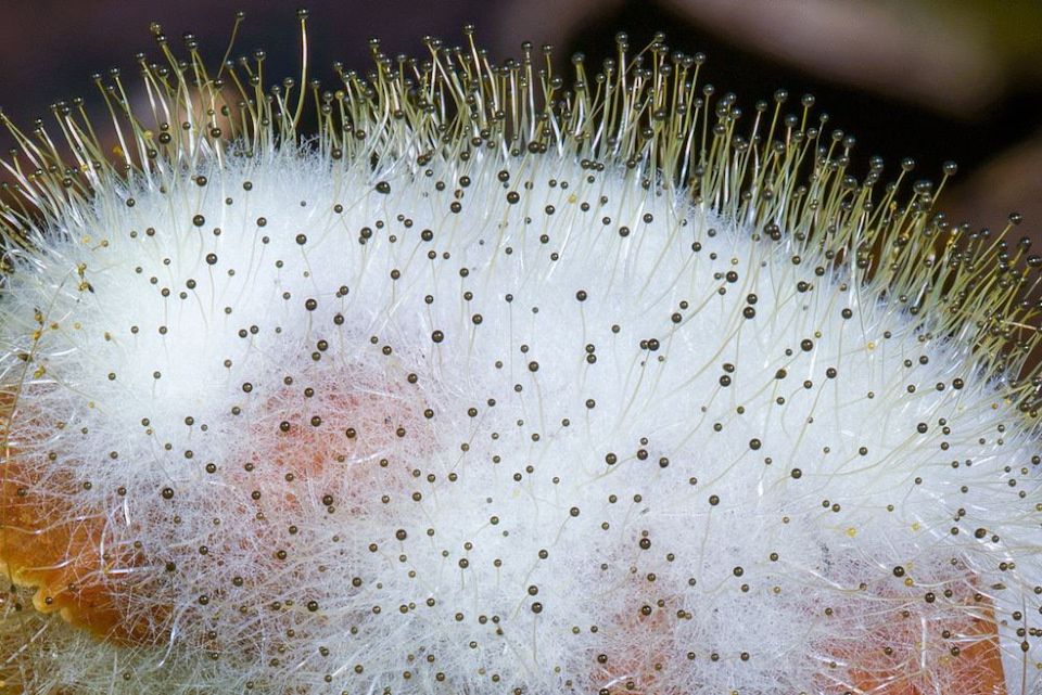 ��� �������� ������� � ����� ����: ������� ���� � �������