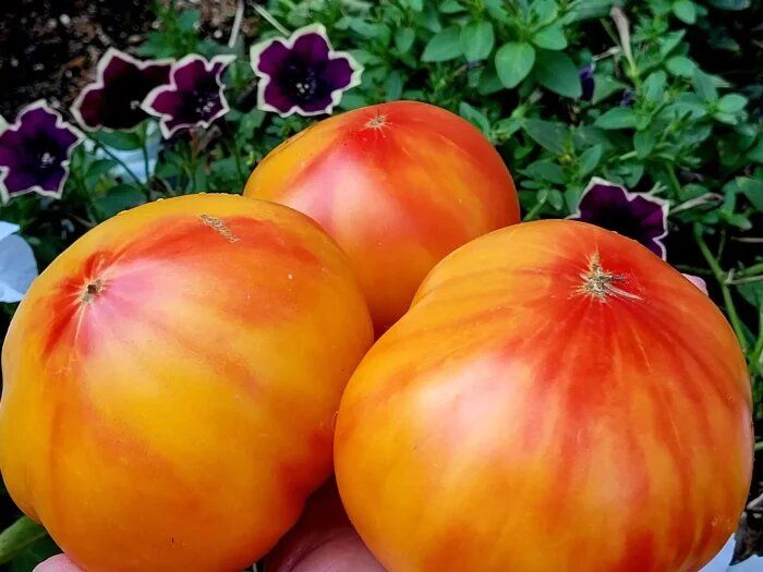 ��� �������� �������� ������ ��������� ����� ���� ���� � �������� ����