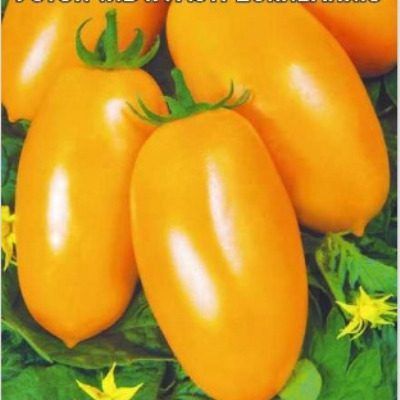 ����� �������: ������ ������� ��� ������� �������