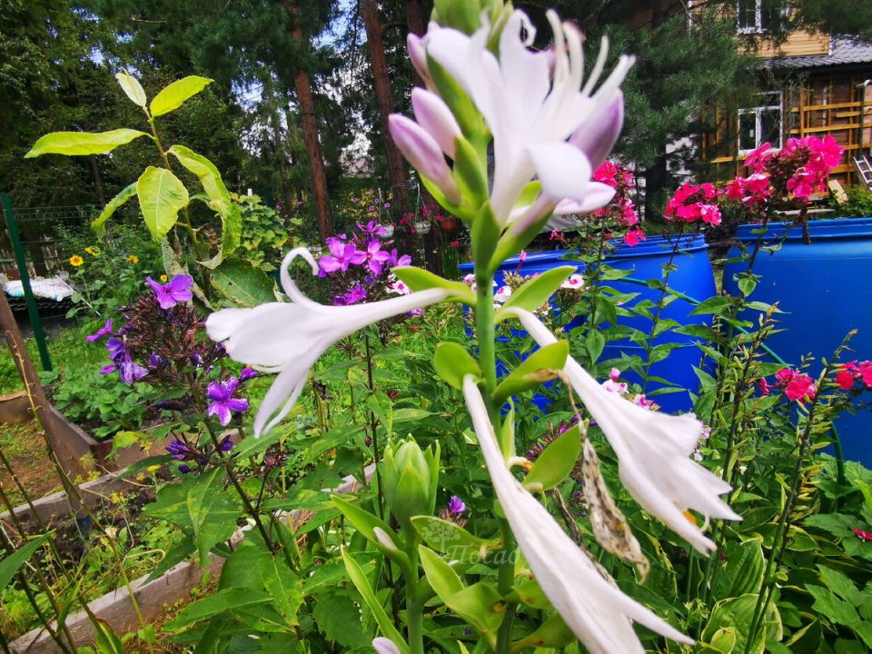 ������� �������: ������������ �������� � ���� ��������