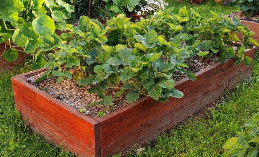 ��� ���������� �������� �����: ��������� ����������� ��� ������������� ������