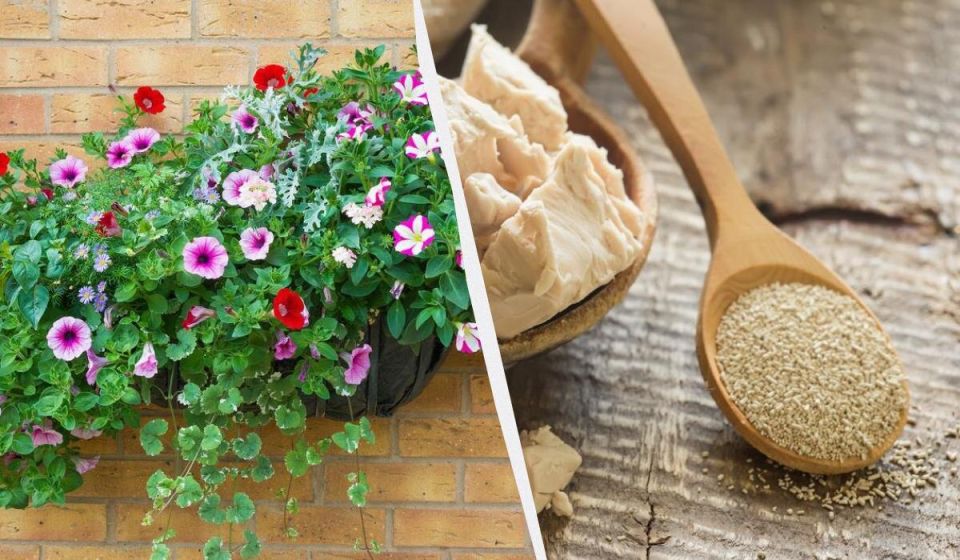 ������ ������������� �������� �������: ��� ������ �������� ����� �� �����