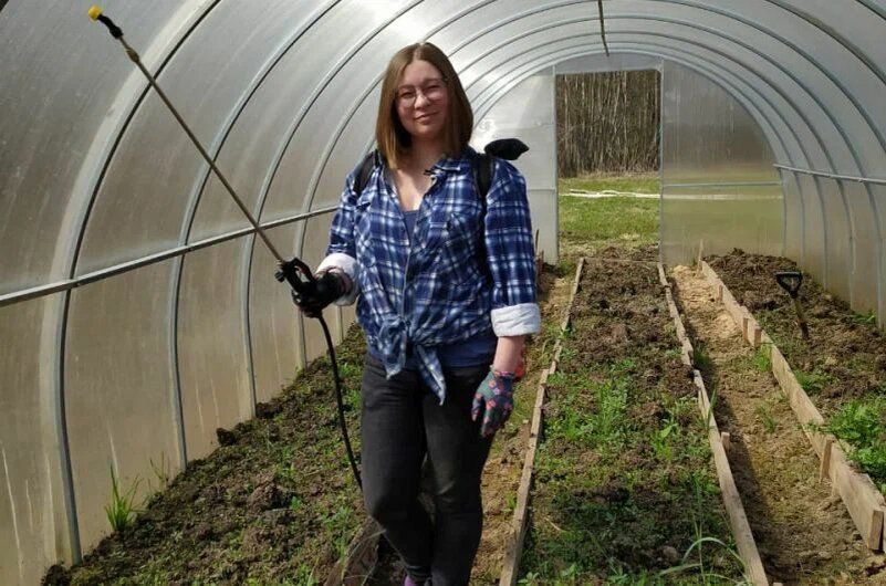 Как правильно мыть поликарбонатную теплицу: полезные советы