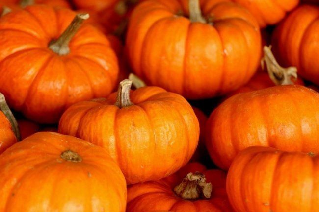 Готовим тыквенный сок на зиму: просто и вкусно