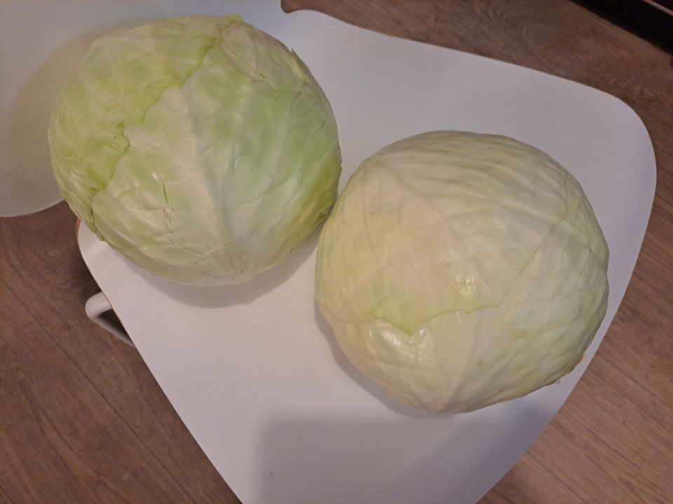 ��� ��������� �������: ������� ������� � ���� ������