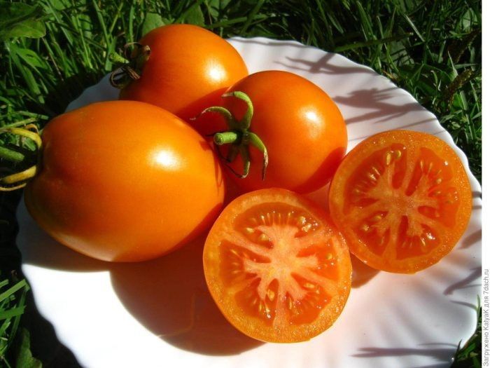 ����� �������: ������� ������ � �������� � �����