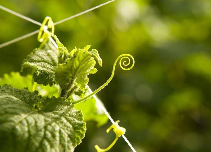 ������� ����������� ������� � ������� �� ��������������