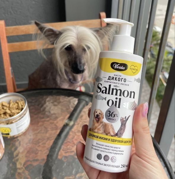 ������ ����� ������ ������ ����� ��� �������������� ��������?