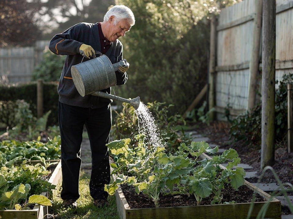 Пенсионные планы: многие мечтают уйти на пенсию раньше 65 лет и ищут опору в учёте доходов