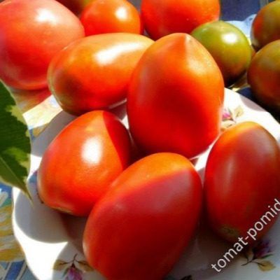 ����� �������: ������� �������������� ����� ��� ������� � ���������