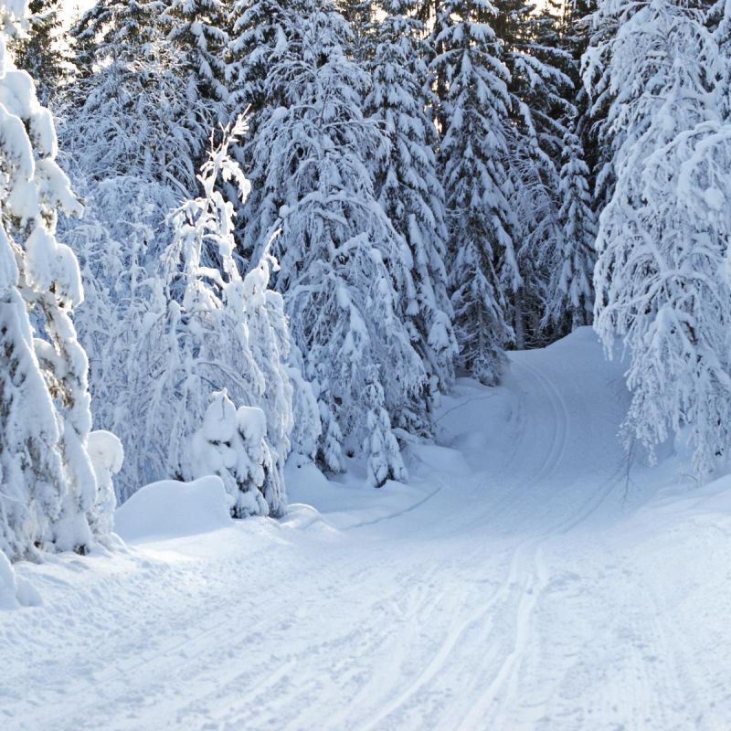 ˸� ����� � ����: ��� �� ������ �������� ������� � ����