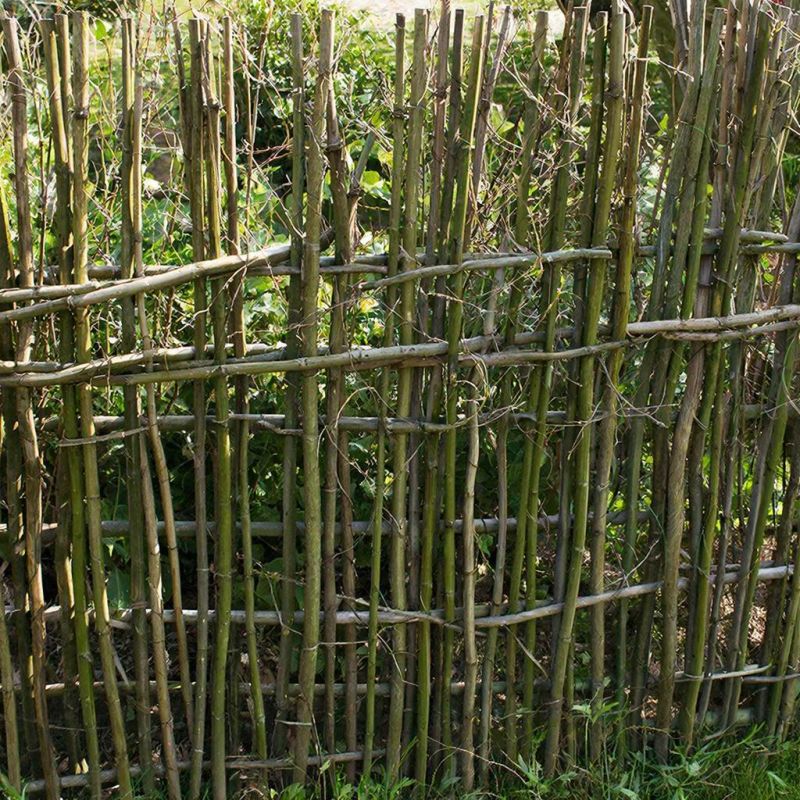 ����� �������� �� ������ �������: �����, ������� ������ �� ������