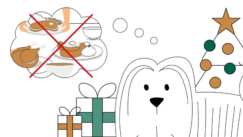 ��� ������ �������� ������ ����������� ����������� ������ ������