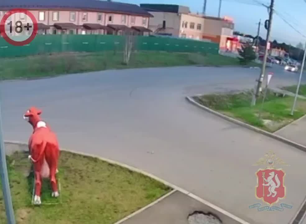     :      
