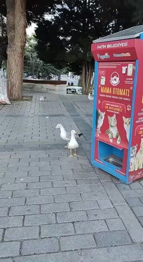 #__     ,   