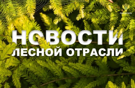  :    50        