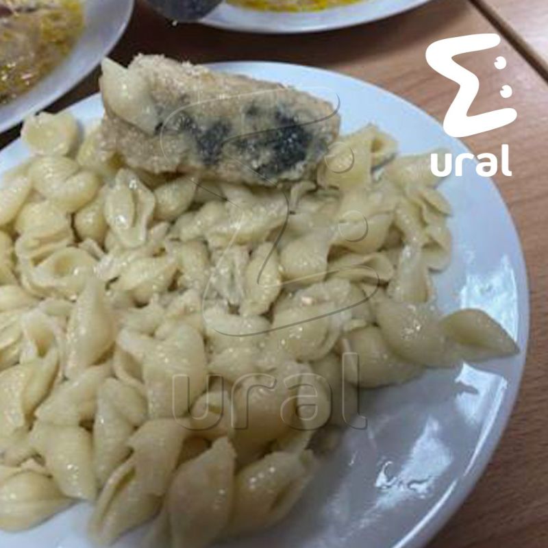 ,  ,      -