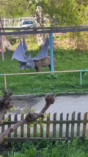          ,  -   