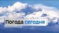 Доброе утро! О погоде сегодня: