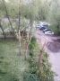 Рабочие спилили ветки деревьев на улице Готвальда, 19 в Екатеринбурге сегодня утром, когда в гнездах находились птенцы дроздов, рассказала подписчица 