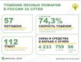 За прошедшие сутки в 23 регионах России потушили 57 лесных пожаров