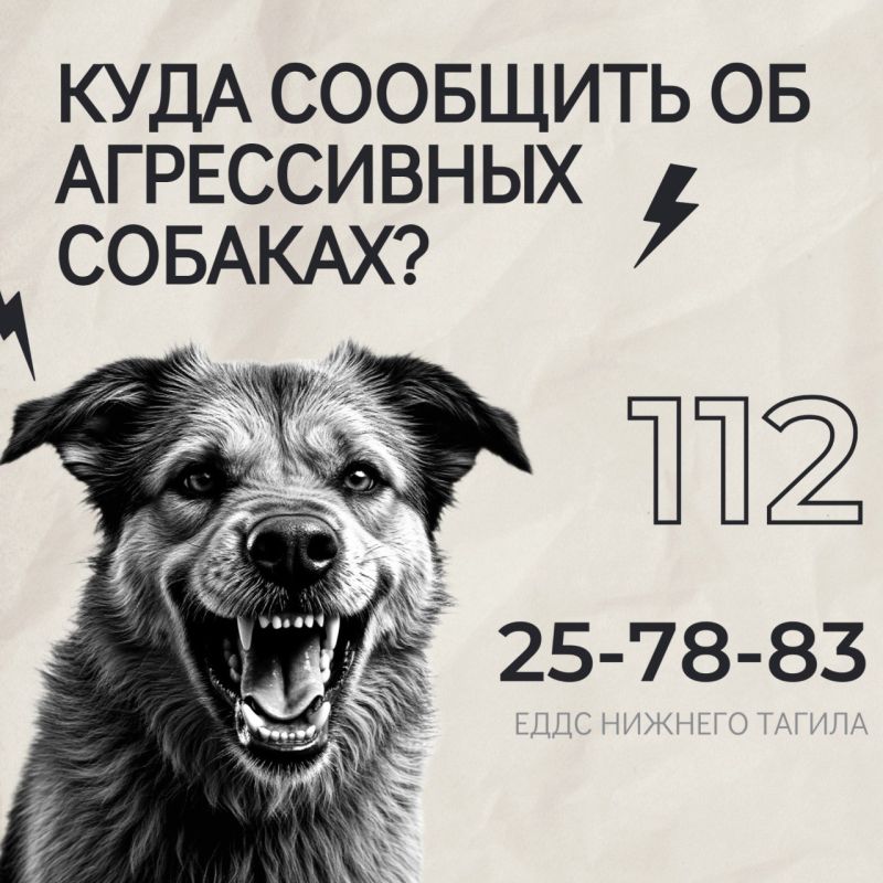      ,   ?