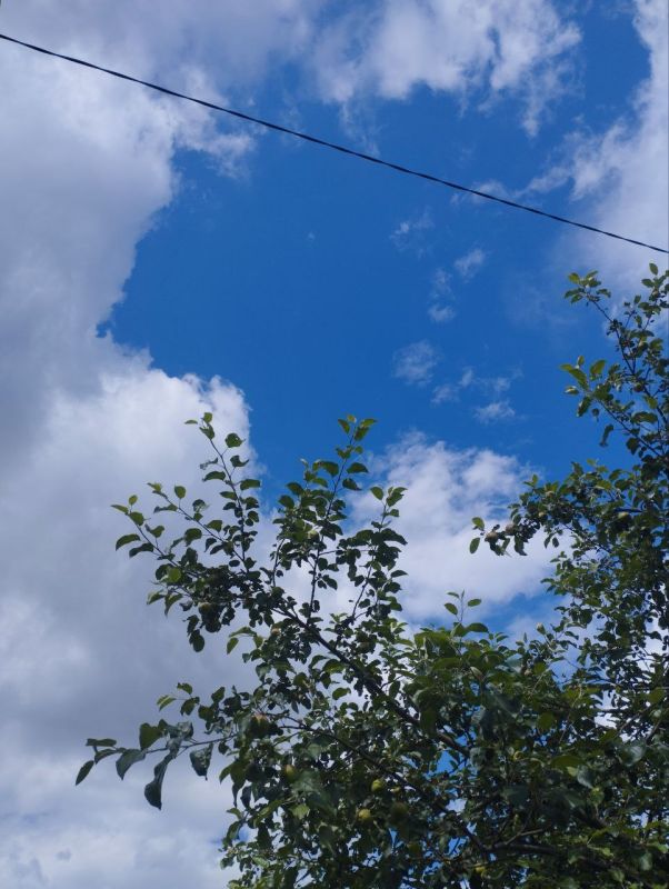 6         18 /