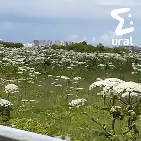         ,        