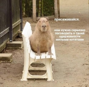      !