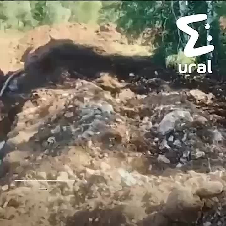   ,     -    